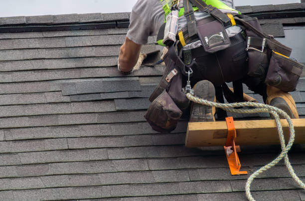 Roof Gutter Cleaning in Santa Clara, OR